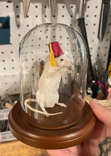 Taxidermy Mouse with Fez