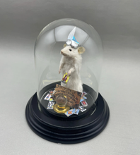 Fortune Teller Taxidermy Mouse