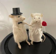 Taxidermy Wedding Mouse Couple Bride and Groom