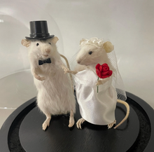 Taxidermy Wedding Mouse Couple Bride and Groom