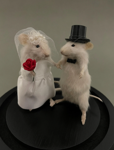 Taxidermy Wedding Mouse Couple Bride and Groom