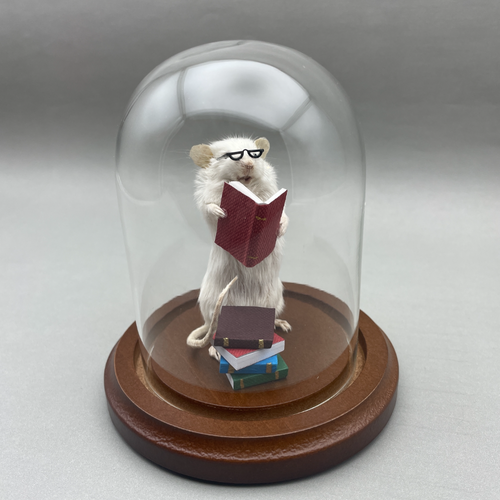 Bookworm Taxidermy Mouse Reading Books - Student, Librarian, Author, Writer