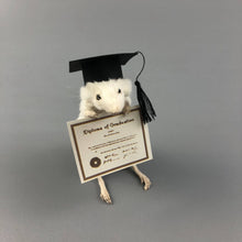 Taxidermy Graduation Mouse