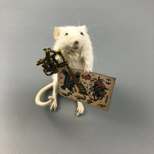 Taxidermy Tattoo Artist Mouse Tattooer