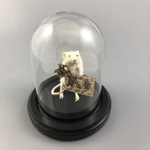 Taxidermy Tattoo Artist Mouse Tattooer