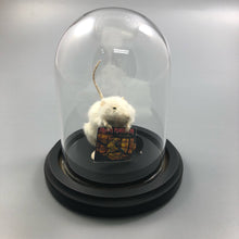 ANY RECORD Taxidermy Mouse