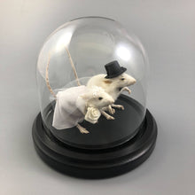 Taxidermy Wedding Mouse Couple