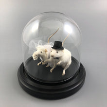 Taxidermy Wedding Mouse Couple