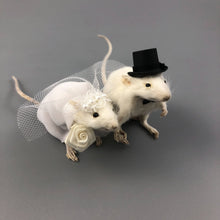 Taxidermy Wedding Mouse Couple