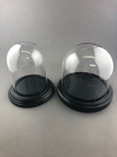 Bell Jar Glass Dome with Black Wood Base