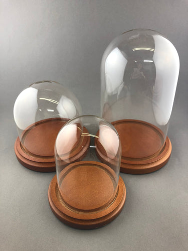 Bell Jar Glass Dome with Brown Wood Base