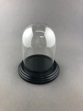 Bell Jar Glass Dome with Black Wood Base