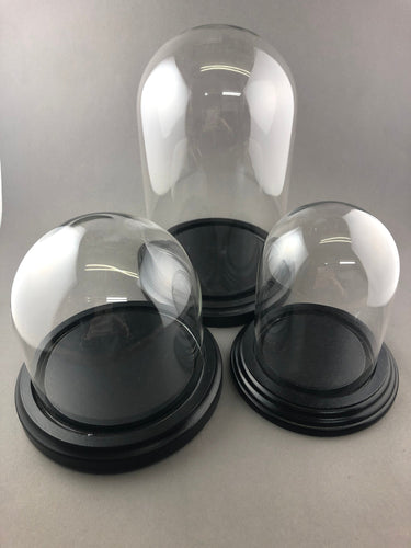 Bell Jar Glass Dome with Black Wood Base