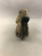 Taxidermy Squirrel