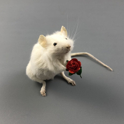 Taxidermy Mouse with Rose