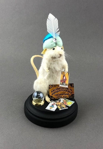 Fortune Teller Taxidermy Mouse
