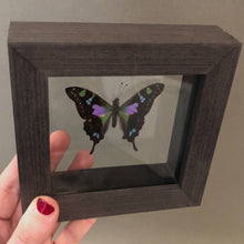 Purple Spotted Butterfly Framed