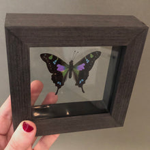 Purple Spotted Butterfly Framed