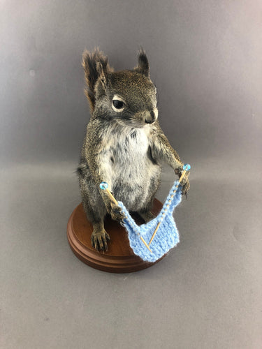 ANY COLOR Squirrel Knitting Sweater