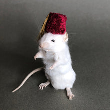 Taxidermy Mouse with Fez