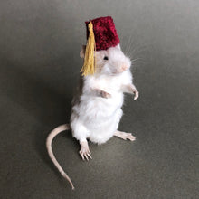 Taxidermy Mouse with Fez