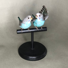 Pair of Taxidermy Parakeets on Perch