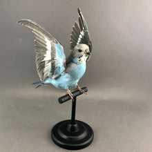 Taxidermy Bird Perch