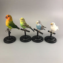 Taxidermy Bird Perch