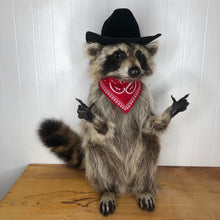 Taxidermy Raccoon Cowboy Finger Guns