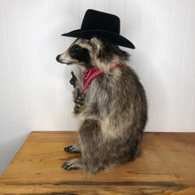 Taxidermy Raccoon Cowboy Finger Guns