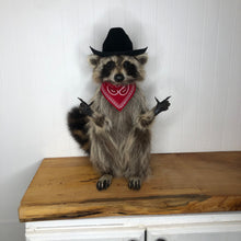 Taxidermy Raccoon Cowboy Finger Guns