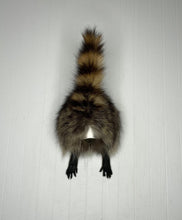 Taxidermy Raccoon Butt Bottle Opener