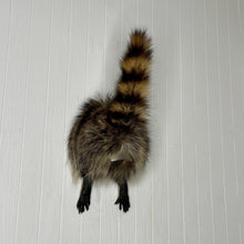 Taxidermy Raccoon Butt Bottle Opener