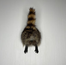 Taxidermy Raccoon Butt Bottle Opener