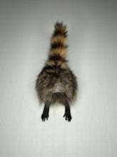 Taxidermy Raccoon Butt Bottle Opener