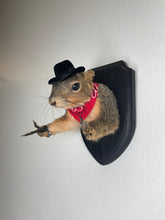 Cowboy Bandit Taxidermy Squirrel