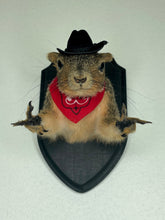 Cowboy Bandit Taxidermy Squirrel