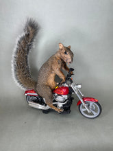 Taxidermy Squirrel Riding Harley
