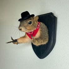 Cowboy Bandit Taxidermy Squirrel