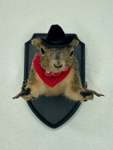 Cowboy Bandit Taxidermy Squirrel