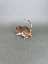 Taxidermy Field Mouse On all Fours