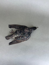 Taxidermy Starling Dead Mount Bird Prop