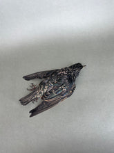 Taxidermy Starling Dead Mount Bird Prop