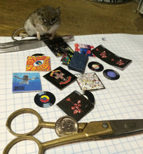 ANY RECORD Taxidermy Mouse