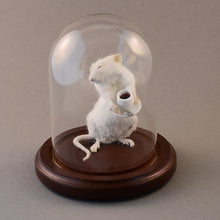 Taxidermy Coffee Shop Mouse